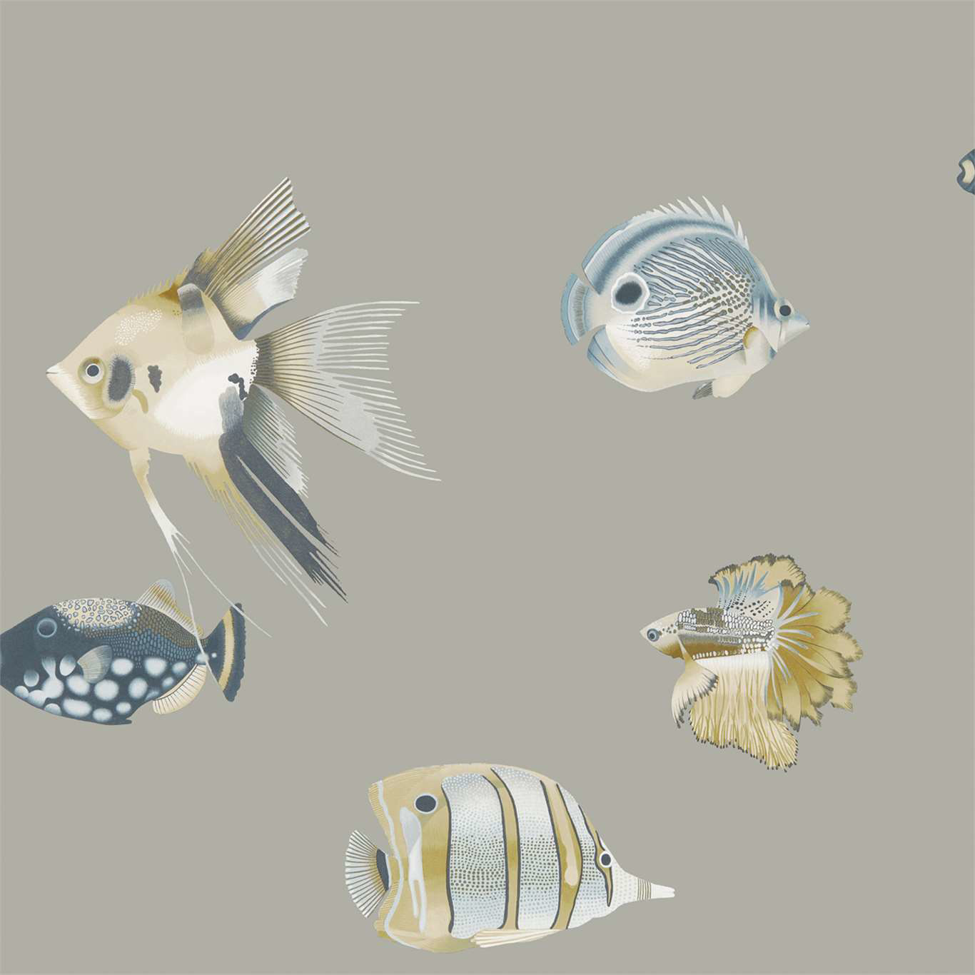 Kamanu - HANZ111646 wallpaper 