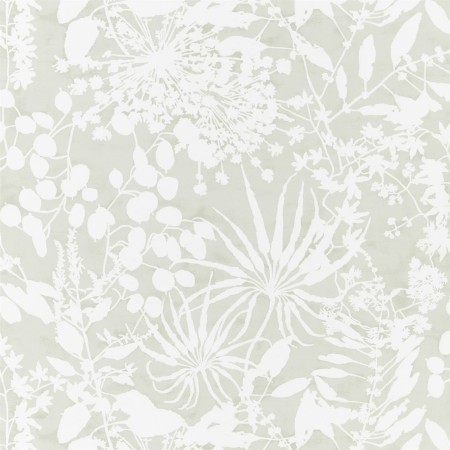 Bild på Coralline - HANZ111640