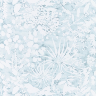 Afbeeldingen van Coralline - HANZ111637