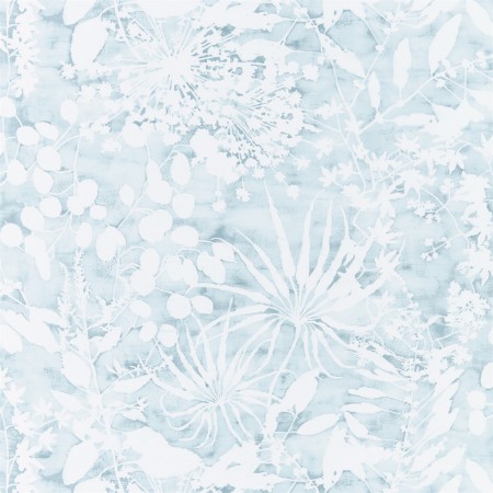 Bild på Coralline - HANZ111637