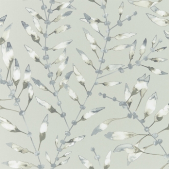 Picture of Chaconia - HANZ111632