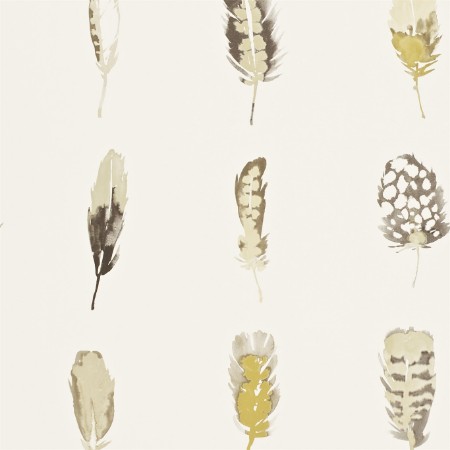 Picture of Limosa - HAMA111072