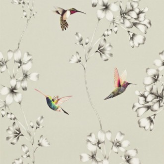 Bild på Amazilia - HAMA111062