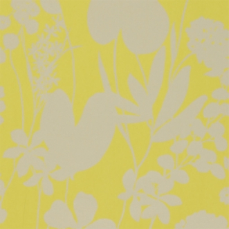 Bild på Nalina - HAMA111050