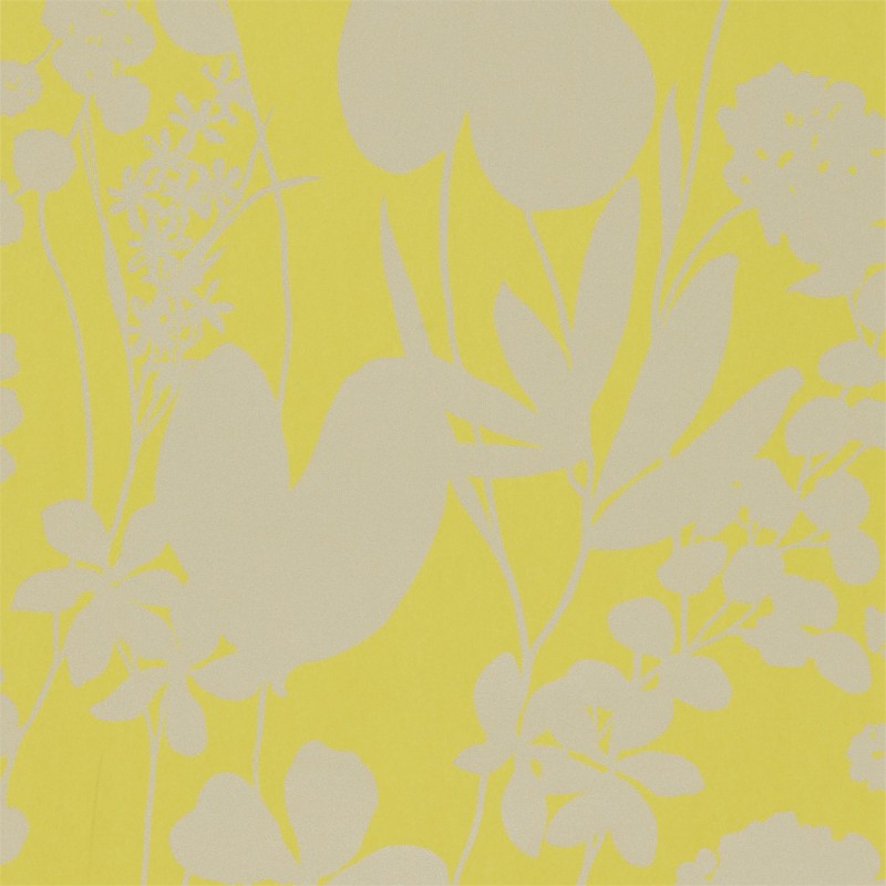 Afbeeldingen van Nalina - HAMA111050