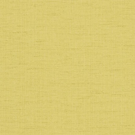 Picture of Raya - HAMA111046