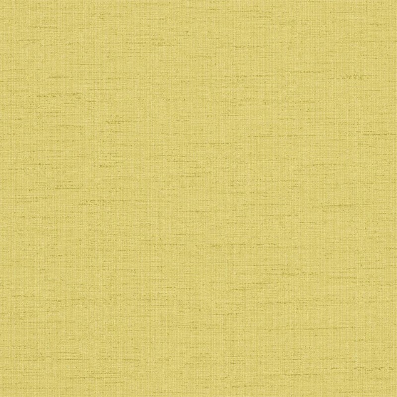 Picture of Raya - HAMA111046