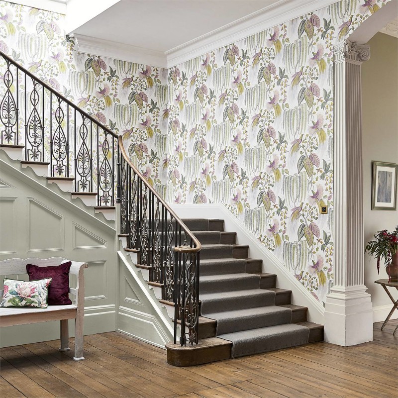 Picture of Bird of Paradise Orchid - 216654