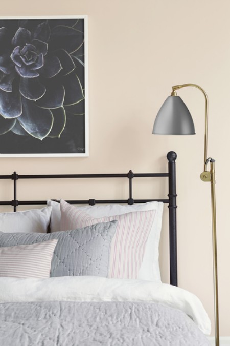 Picture of Pink Blush - 7989