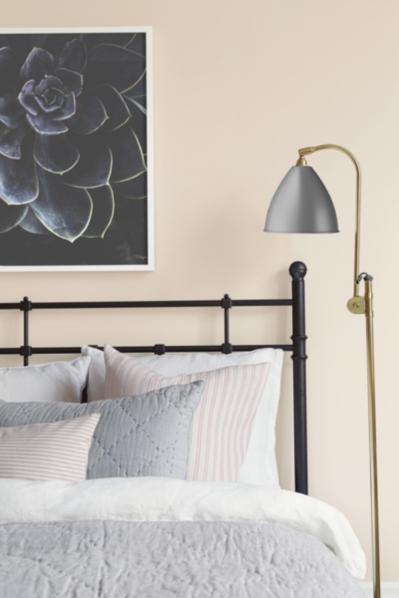 Picture of Pink Blush - 7989