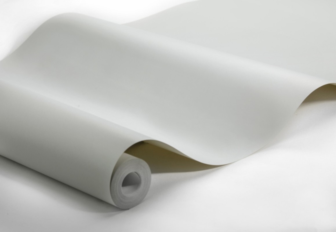 Image de Grey Feather - 7952