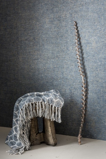 Picture of Linum - 219644