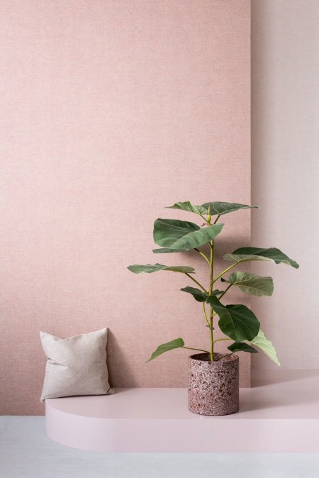 Picture of Linum - 219438