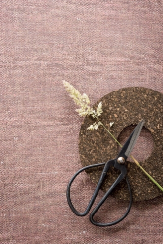 Picture of Linum - 219421