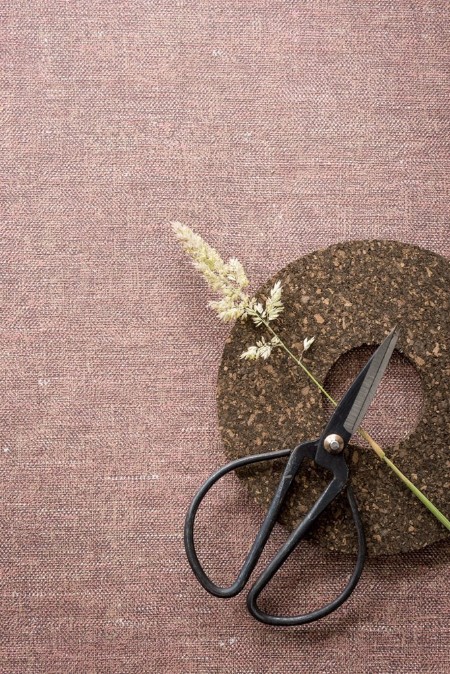 Bild på Linum - 219421