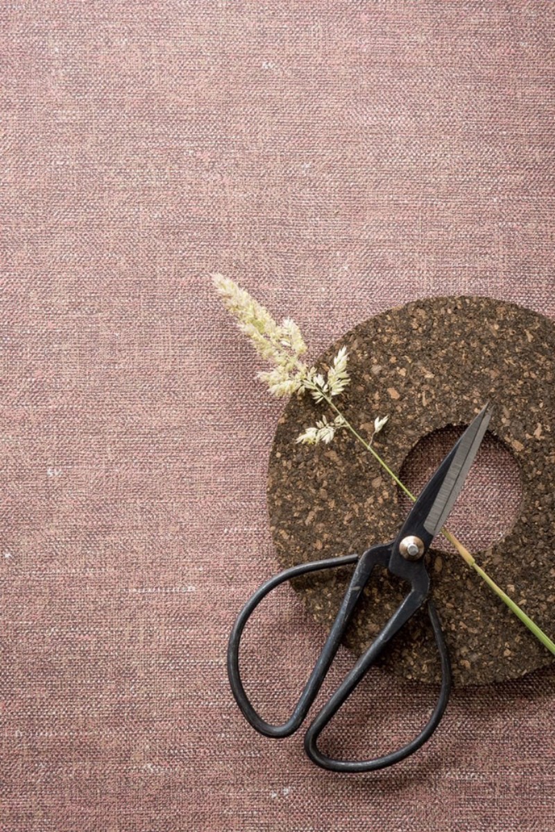 Picture of Linum - 219421