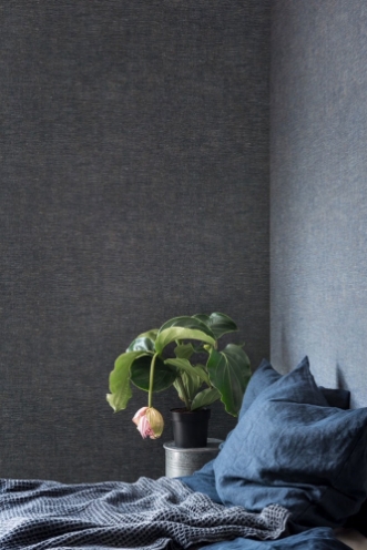 Bild på Linum - 219420