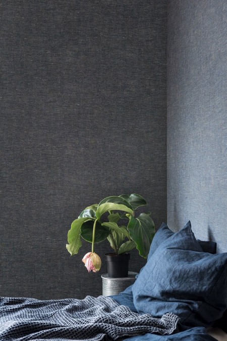 Picture of Linum - 219420