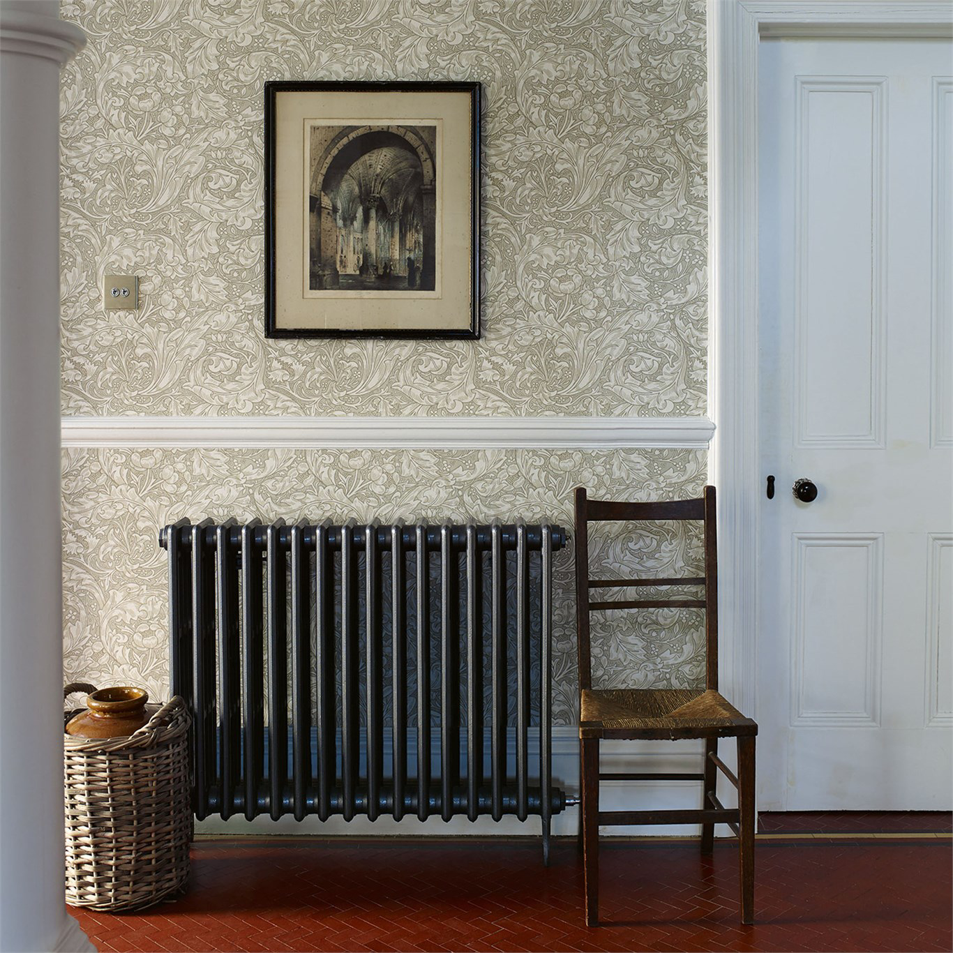 Image de Bachelors Button Ecru - DM3W214738