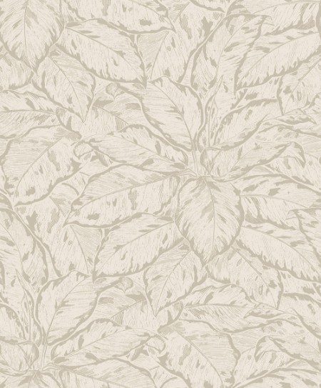 Picture of Jungle Fever - JF3903