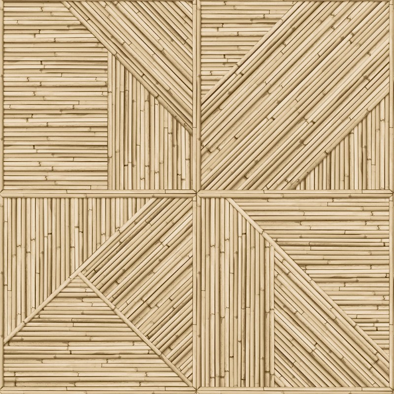 Image de Jungle Fever - JF2401