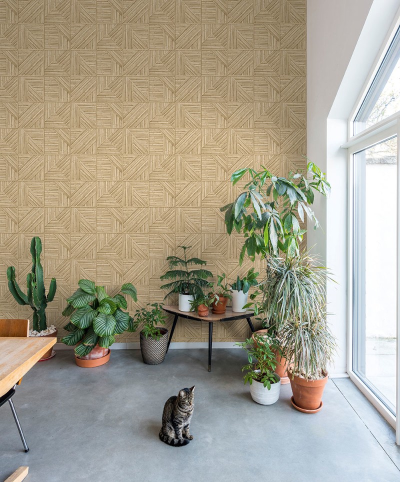 Image de Jungle Fever - JF2401