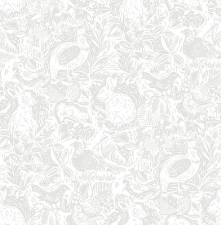 Picture of Bluebell - FD25723