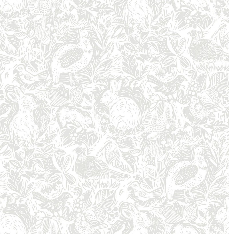 Afbeeldingen van Bluebell - FD25723