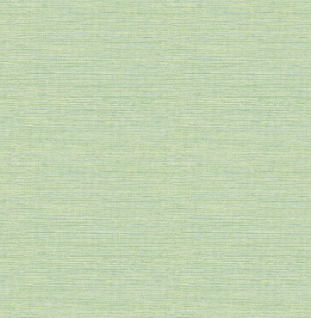 Picture of Bluebell - FD24284