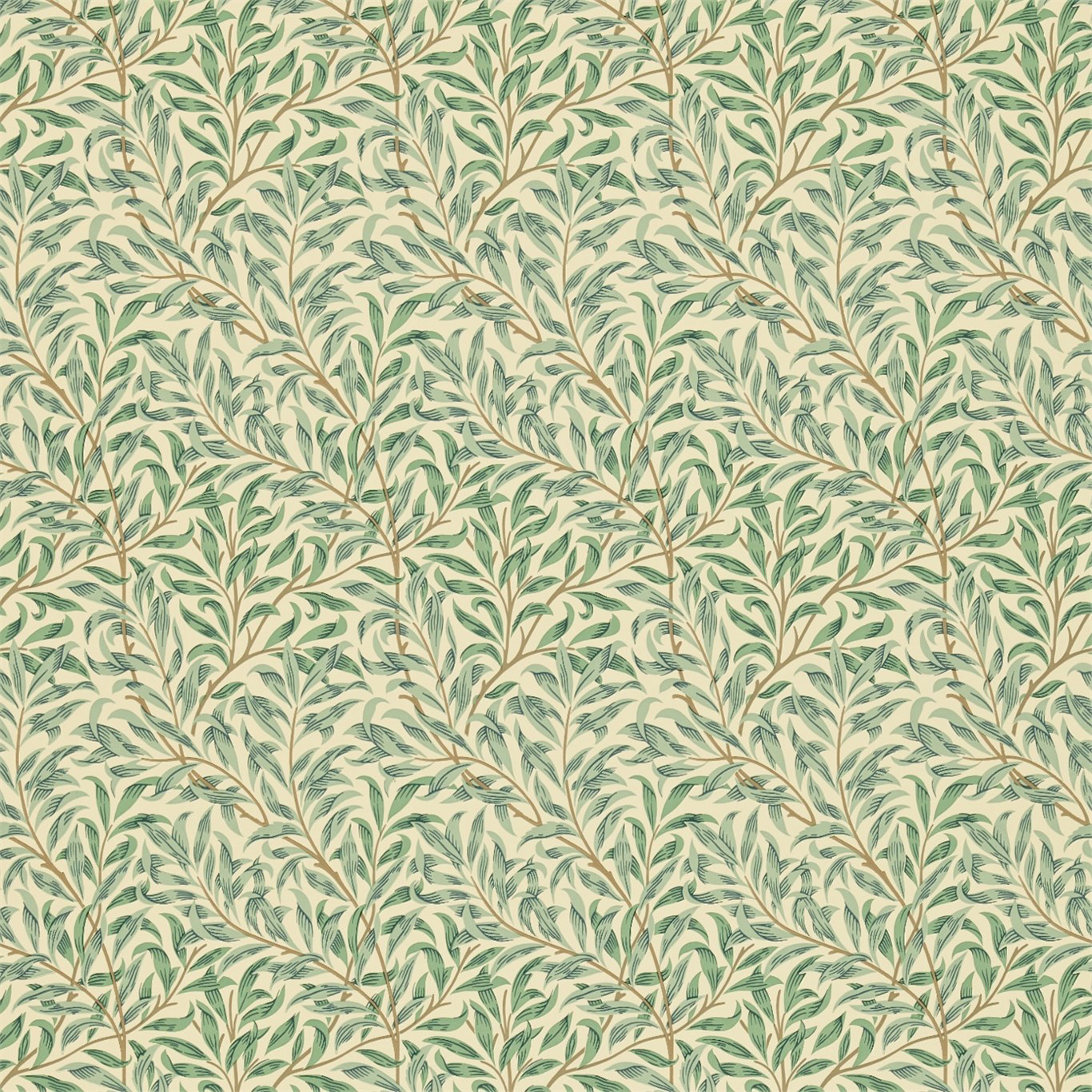 Picture of Willow Boughs Minor Privet - 210489