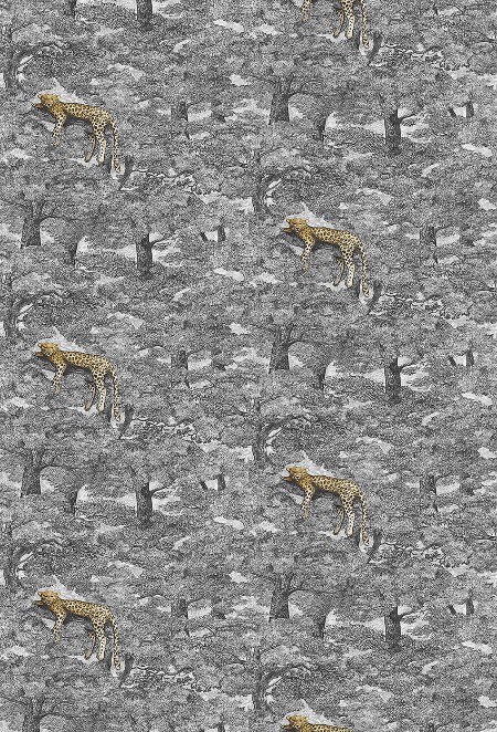 Picture of Samburu - 1192