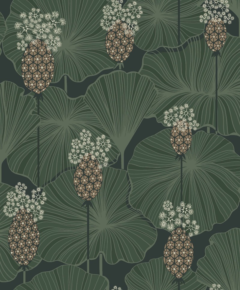 Image de Umbrella Leaves - 3119