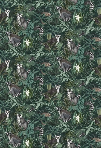 Picture of Madagascar  - 1190