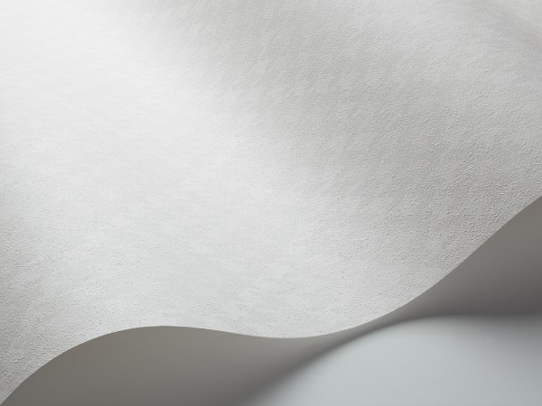 Picture of Dandie Dogtooth - 5405