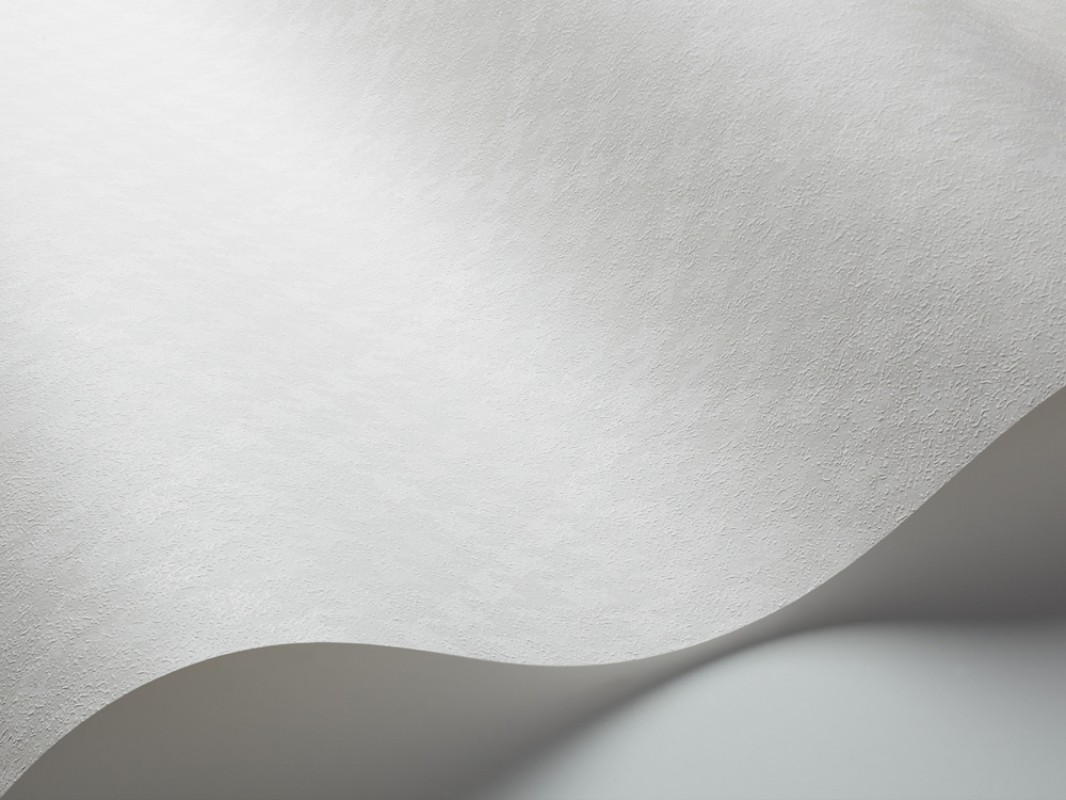 Picture of Dandie Dogtooth - 5405