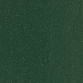 Picture of Foxy - EANW112592