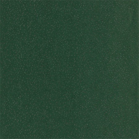 Picture of Foxy - EANW112592