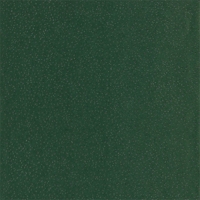 Picture of Foxy - EANW112592