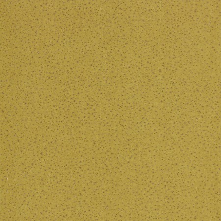 Picture of Foxy - EANW112591