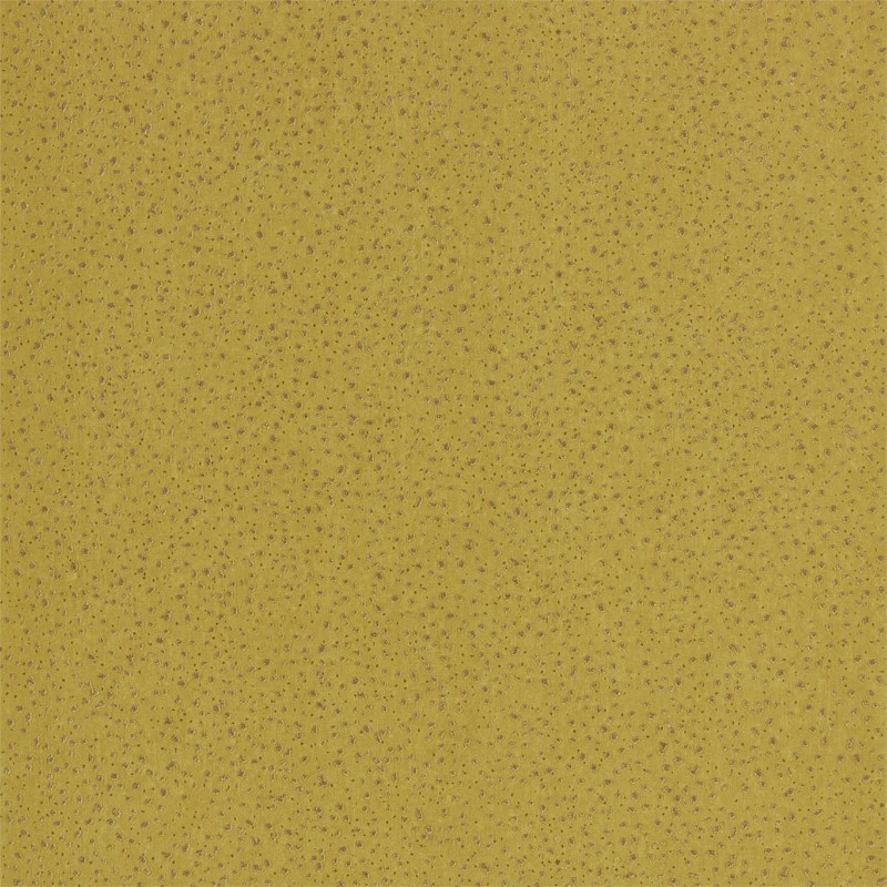 Picture of Foxy - EANW112591