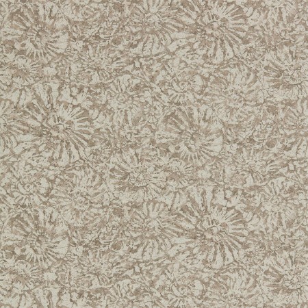 Picture of Ammonite - EANW112564