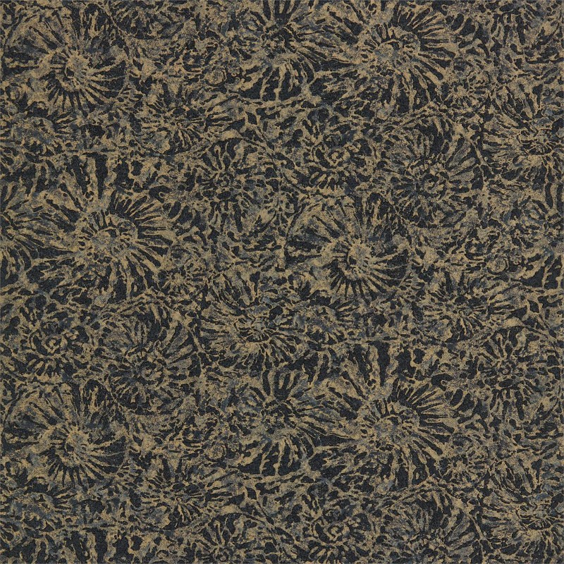 Picture of Ammonite - EANW112562