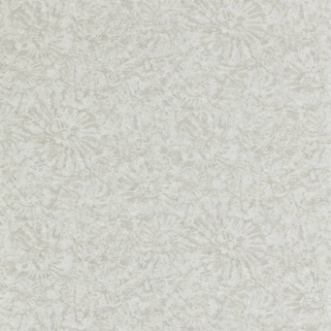 Picture of Ammonite - EANW112560