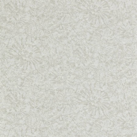 Picture of Ammonite - EANW112560