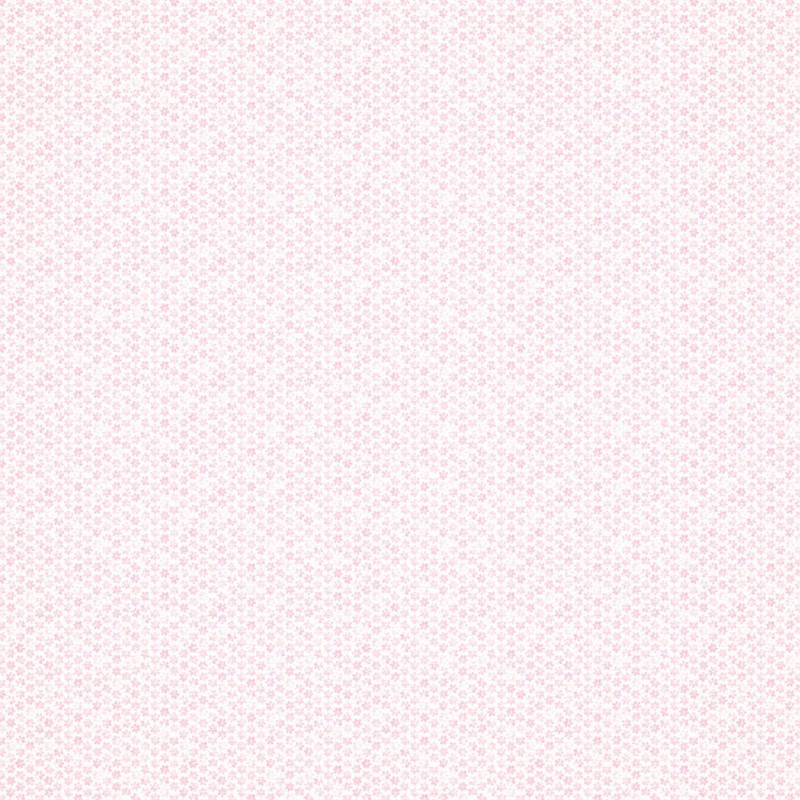 Picture of DITSY DAISY - 112656