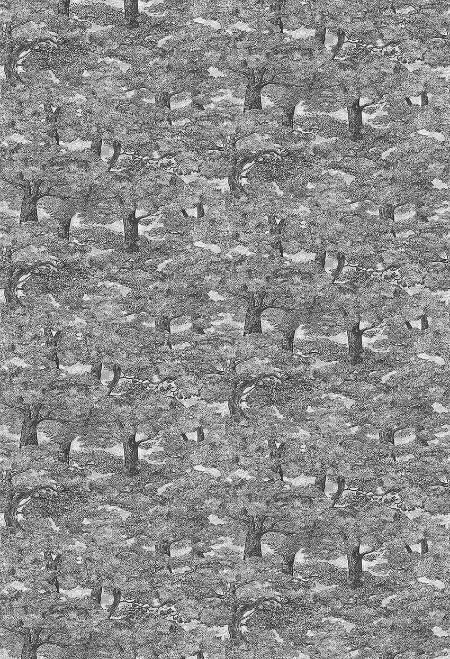 Image de Samburu Tree - 1193