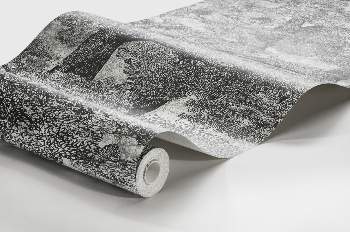 Slika Samburu Tree - 1193