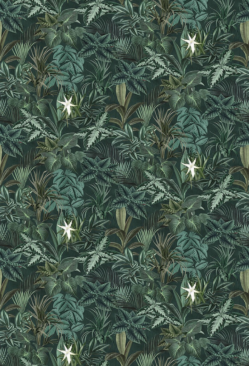 Picture of Madagascar Leaves - 1191