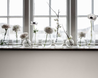 Picture of Stella - 27028