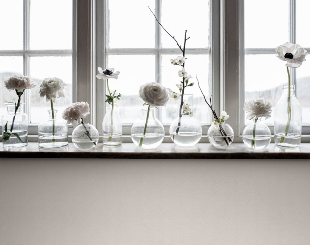 Picture of Stella - 27028